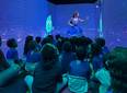 Projeto Biblioarte leva leitura, cultura e tecnologia a 4.800 alunos de Timon