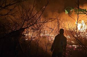 Após 4 dias, brigadistas controlam incêndio de grandes proporções em Pimenteiras (Foto: Divulgação)