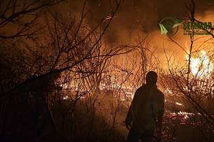 Após 4 dias, brigadistas controlam incêndio de grandes proporções em Pimenteiras