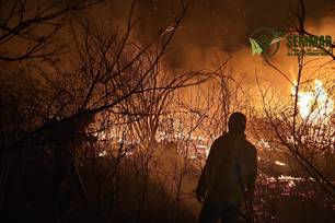 Após 4 dias, brigadistas controlam incêndio de grandes proporções em Pimenteiras (Foto: Divulgação)