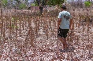 Chuvas ficam 40% abaixo da média neste ano e estiagem se prolonga no Piauí (Foto: Divulgação)