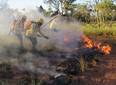 Bombeiros registram cerca de 900 ocorrências de combate a fogo no Piauí