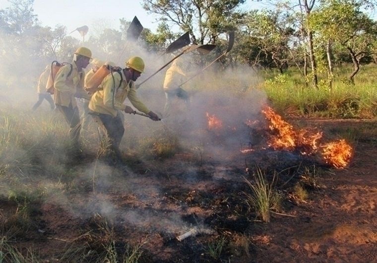 Em Teresina, dados ultrapassam as mais de duas mil chamadas em um único mês.