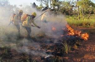Em Teresina, dados ultrapassam as mais de duas mil chamadas em um único mês. (Foto: Divulgação)
