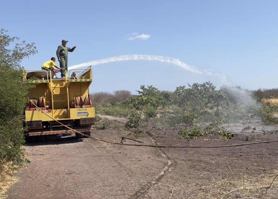Operação integrada controla incêndios que atingiram áreas ambientais no Piauí