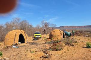 PM e Ibama apreendem armas e resgata animais silvestres (Foto: Divulgação)