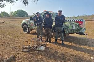 PM resgata animais silvestres mantidos em cativeiro em Caraúbas do Piauí (Foto: Divulgação)