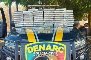 PRF apreende 51 kg de cocaína no Piauí que saiu do Pará para o Pernambuco (Foto: Divulgação)