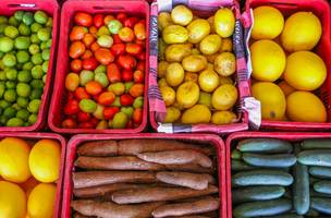 SAF abre inscrições para seleção de entidades recebedoras do PAS (Foto: Divulgação)