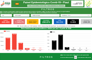 Sesapi lança novo Painel Epidemiológico para monitoramento da Covid-19 no Piauí (Foto: Divulgação)