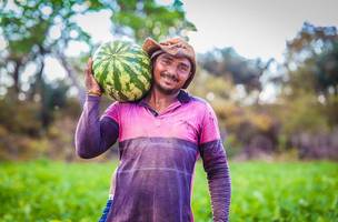 Conferência de Desenvolvimento Rural, Sustentável e Solidário inicia hoje (19) (Foto: Divulgação)