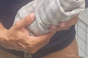 Homem é preso e sagui ferido resgatado na Floresta Fóssil de Teresina (Foto: Divulgação)