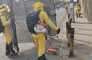 Mutirão de limpeza intensifica ações e recolhe dezenas de toneladas de lixo (Foto: Divulgação)