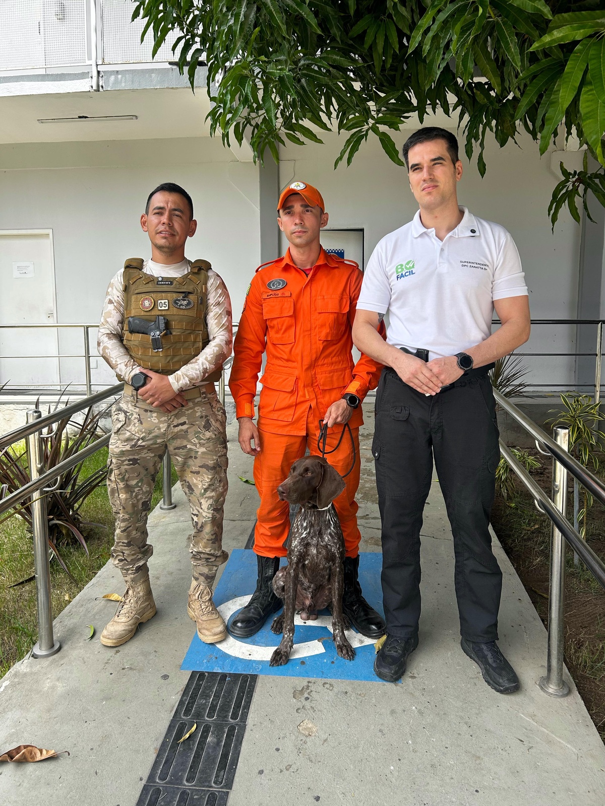 NOC recebe novo cão policial especializado na detecção de restos mortais