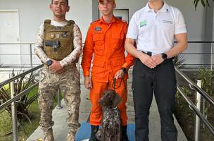 NOC recebe novo cão policial especializado na detecção de restos mortais (Foto: Divulgação)