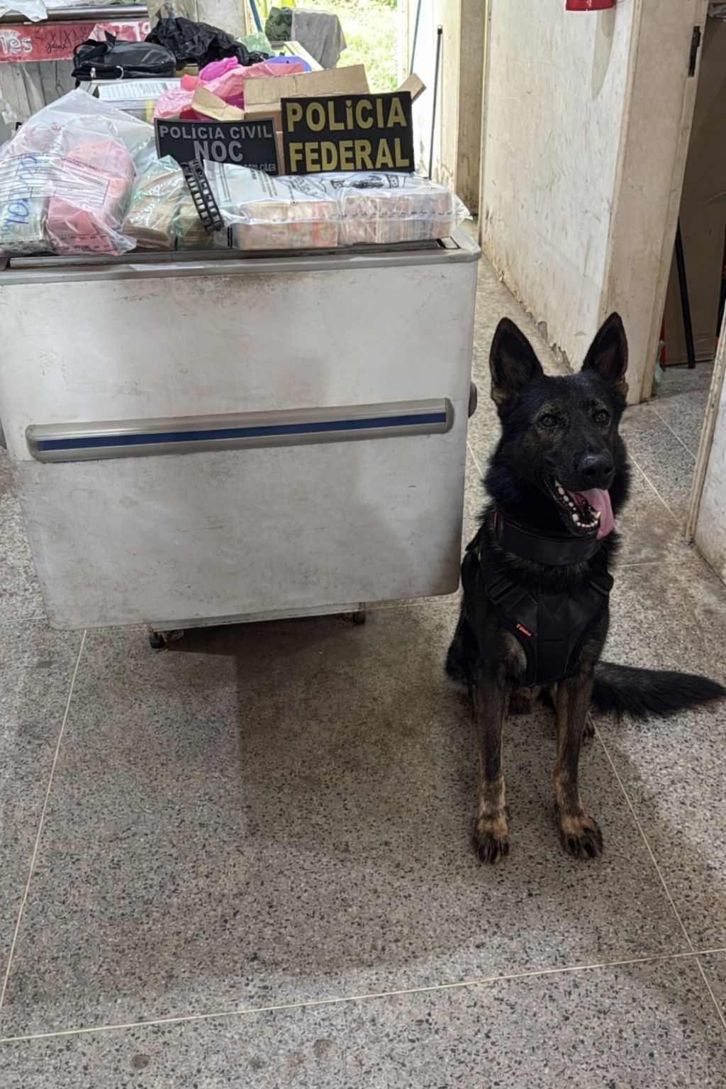 PF deflagra operação contra organização criminosa nas Eleições Municipais  no PI