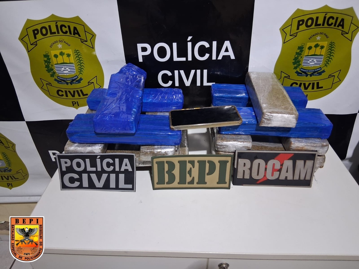Polícia apreende 18 tabletes de maconha em ônibus interestadual no Sul do Piauí