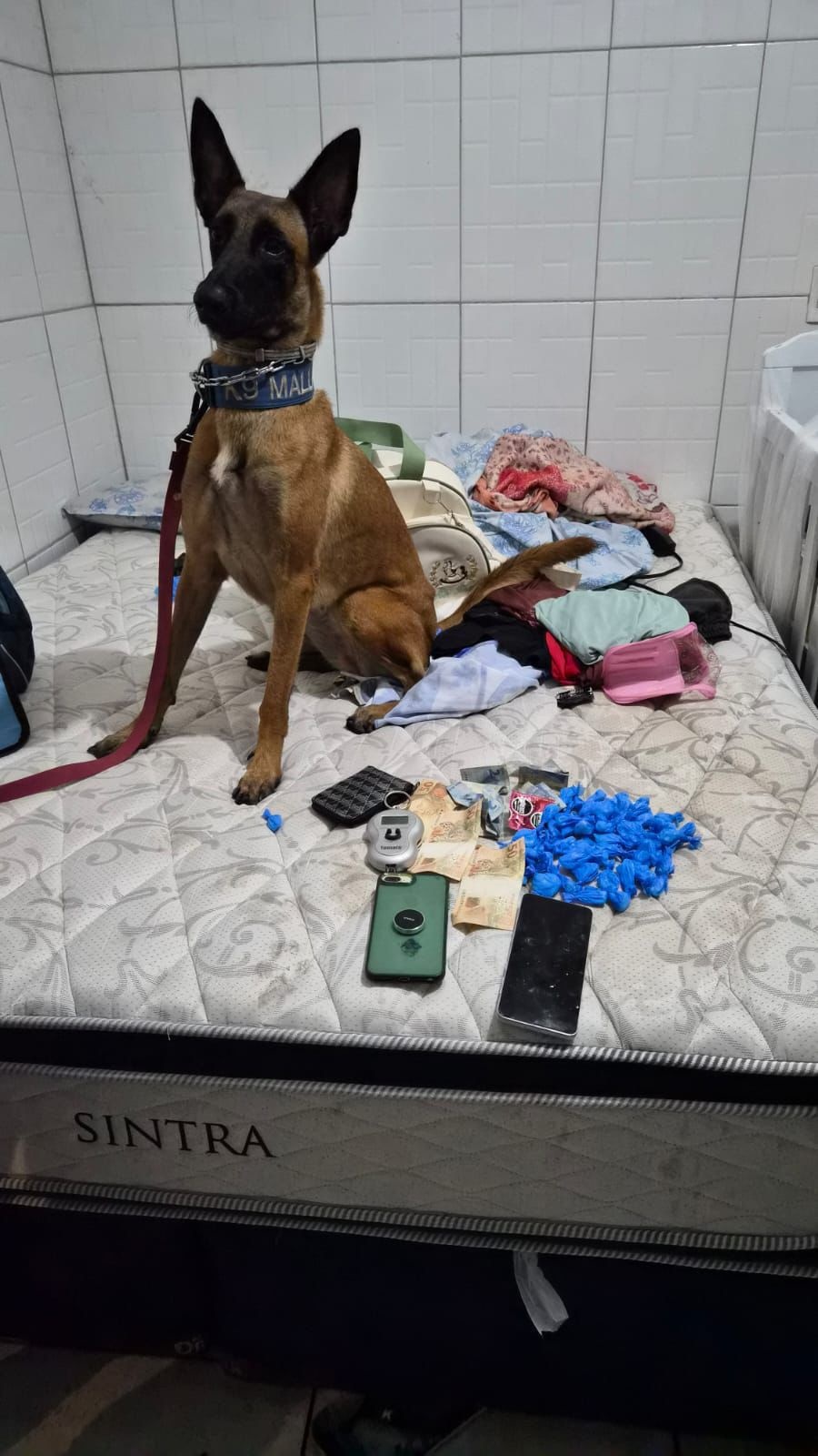 Polícia cumpre mandados contra investigados por tráfico de drogas em Teresina