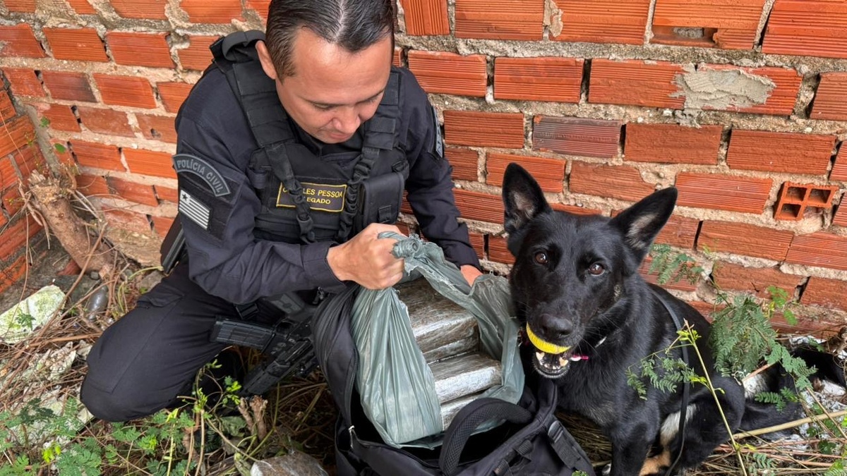 Polícia cumpre mandados e apreende cerca de 25 kg de drogas em Teresina