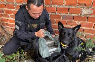 Polícia cumpre mandados e apreende cerca de 25 kg de drogas em Teresina (Foto: Divulgação)