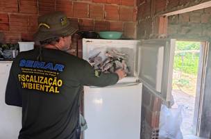 Semarh flagra atividade irregular e apreende 66kg de peixe na piracema no Piauí (Foto: Divulgação)