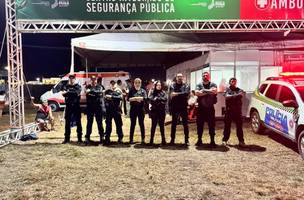 Suspeitos de furtar objetos de veículos são presos durante Festival de Verão (Foto: Divulgação)