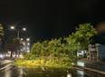 Após tempestade, Teresina registra quedas de árvores e alagamentos