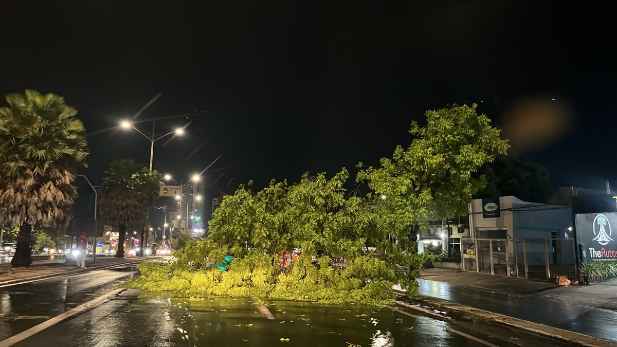 Após tempestade, Teresina registra quedas de árvores e alagamentos