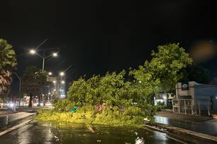 Após tempestade, Teresina registra quedas de árvores e alagamentos (Foto: Divulgação)
