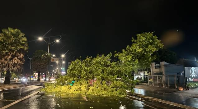 Após tempestade, Teresina registra quedas de árvores e alagamentos