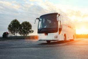 Piauí assegura transporte intermunicipal gratuito para eleitores no 2º turno (Foto: Divulgação)
