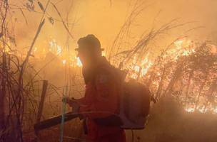 Semarh proíbe queimadas em imóveis rurais até 30 de outubro em todo o Piauí (Foto: Divulgação)