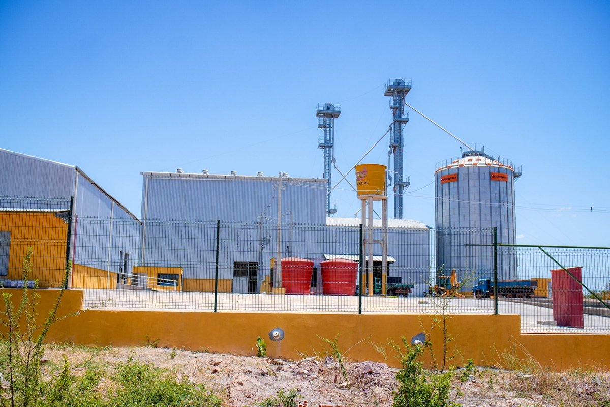 Timon registra mais de 2 mil novas empresas e amplia oportunidades de emprego