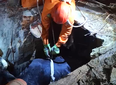Vaca cai em fossa e precisa ser resgatada por bombeiros no litoral do Piauí