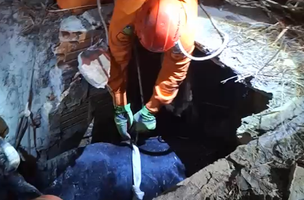 Vaca cai em fossa e precisa ser resgatada por bombeiros no litoral do Piauí (Foto: Divulgação)
