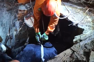 Vaca cai em fossa e precisa ser resgatada por bombeiros no litoral do Piauí (Foto: Divulgação)
