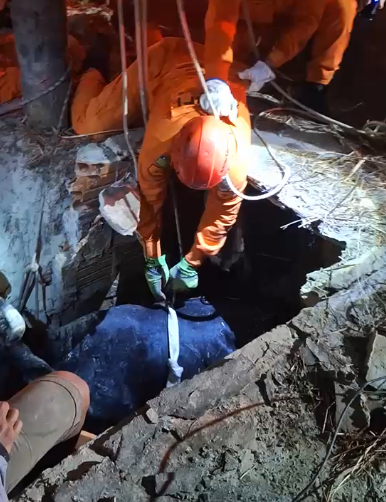 Vaca cai em fossa e precisa ser resgatada por bombeiros no litoral do Piauí
