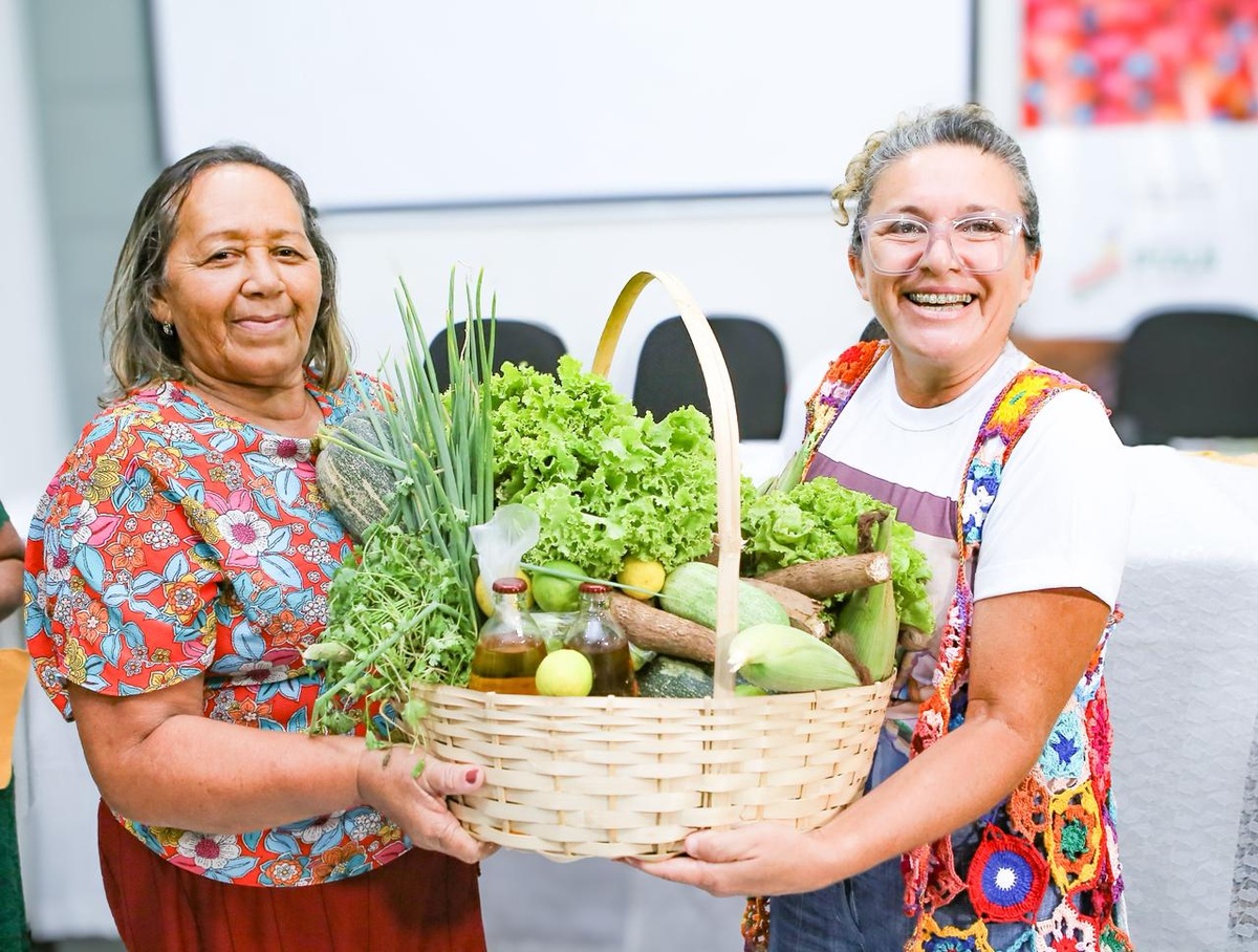 28 entidades da sociedade civil são selecionadas para eleição do Consea-PI
