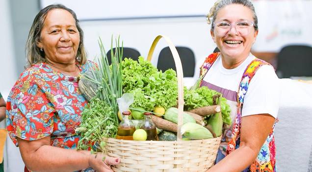 28 entidades da sociedade civil são selecionadas para eleição do Consea-PI