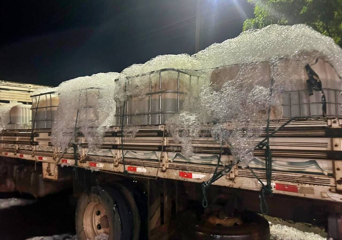 Adapi descarta 1,5 tonelada de tilápia irregular apreendida pela PRF