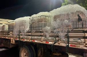 Adapi descarta 1,5 tonelada de tilápia irregular apreendida pela PRF (Foto: Divulgação)