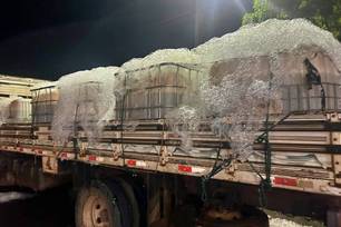 Adapi descarta 1,5 tonelada de tilápia irregular apreendida pela PRF