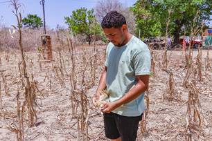 Apesar das chuvas, monitoramento aponta 49 cidades do Piauí em seca extrema (Foto: Divulgação)