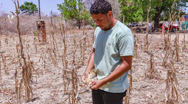 Apesar das chuvas, monitoramento aponta 49 cidades do Piauí em seca extrema