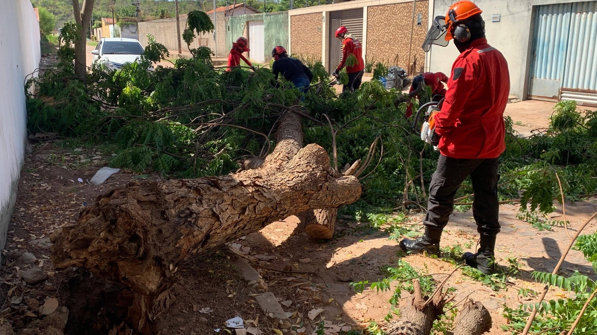 Defesa Civil de Teresina registra 104 ocorrências em janeiro de 2026