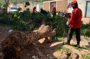 Defesa Civil de Teresina registra 104 ocorrências em janeiro de 2026 (Foto: Divulgação)