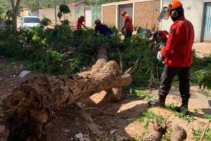 Defesa Civil de Teresina registra 104 ocorrências em janeiro de 2026 (Foto: Divulgação)