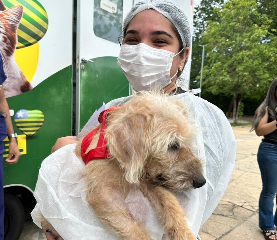 Governo autoriza parceria para abrigar animais vítimas de maus-tratos