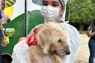 Governo autoriza parceria para abrigar animais vítimas de maus-tratos