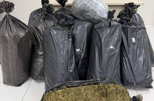 PM apreende 121 quilos de maconha em sacos plásticos e prende suspeito no Piauí (Foto: Divulgação)